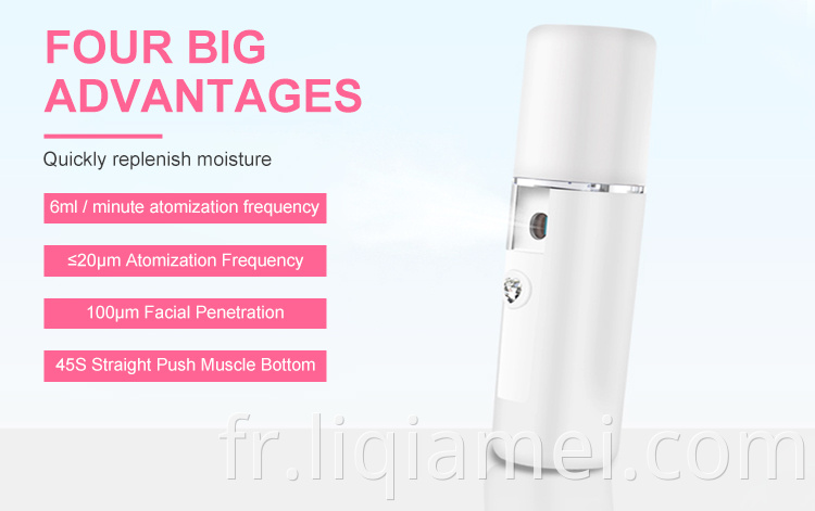 Face Steamer Facial Portable Mini Face Spray Mis de brume pour le visage